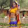 About Piya Kaam Bado Jamidaro Song